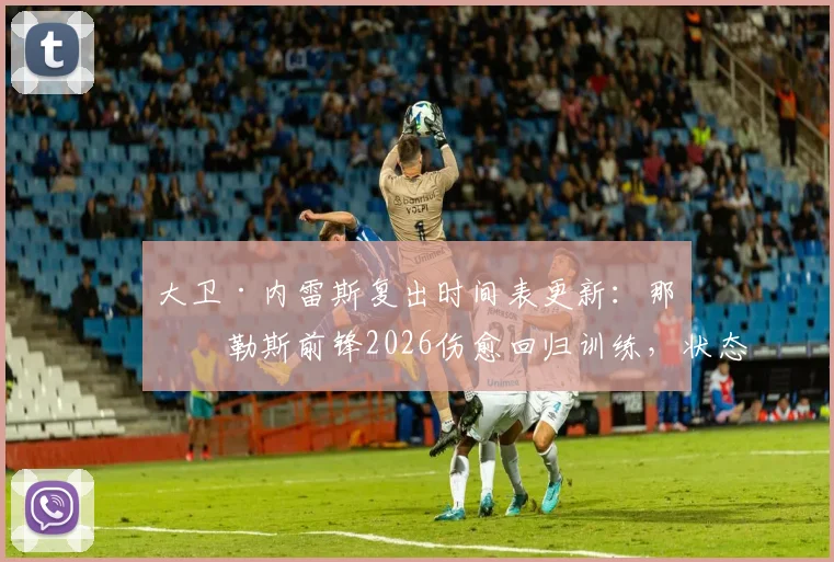 大卫·内雷斯复出时间表更新：那不勒斯前锋2026伤愈回归训练，状态与最新消息解析