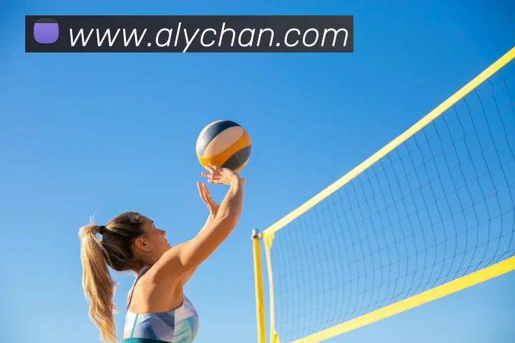 华体会体育平台生态图